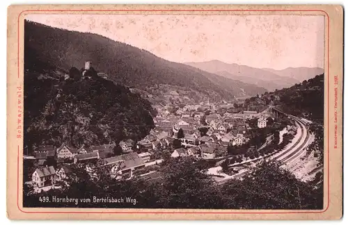 Fotografie Lautz, Darmstadt, Ansicht Hornberg, Eisenbahntrasse vom Bertelsbach Weg gesehen 1893