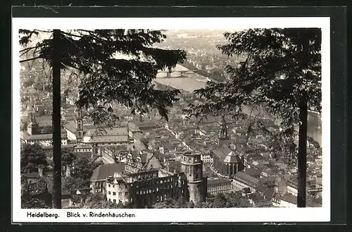 AK Heidelberg, Blick auf Stadt vom Rindenhäuschen