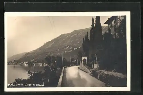 AK Malcesine /Lago die Garda, Panorama