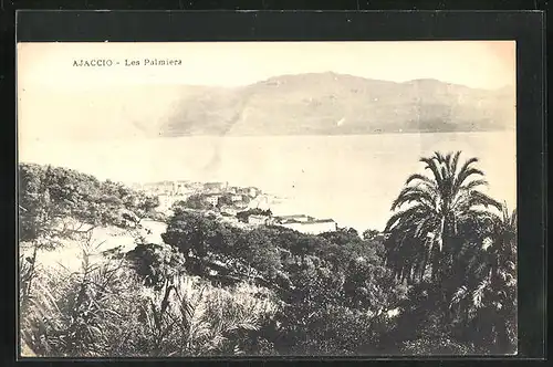 AK Ajaccio, Les Palmiers