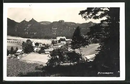 AK Dittersbach / Jetrichovice, Panorama