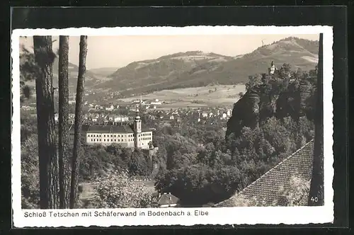 AK Bodenbach a. Elbe, Schloss Tetschen mit Schäferwand