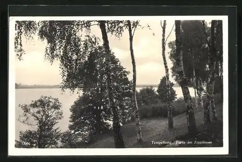 AK Tempelburg, Partie am Zeppelinsee