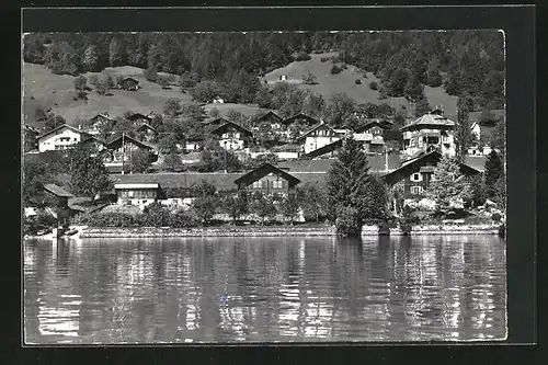 AK Niederried am Brienzersee, Uferpartie