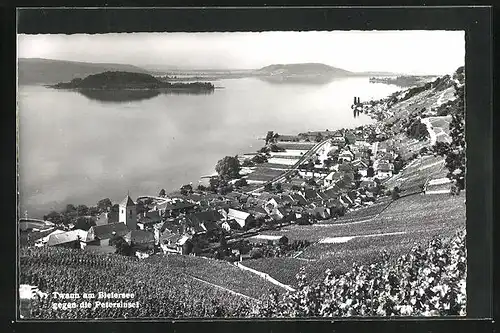 AK Twann am Bielersee, Teilansicht gegen die Petersinsel