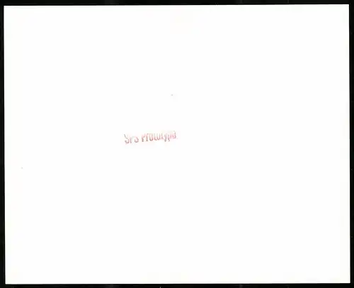 Fotografie Auto SPS Prototyp, Behindertengerechtes Auto mit Rollstuhlfahrer-Rampe, Grossformat 25 x 20cm