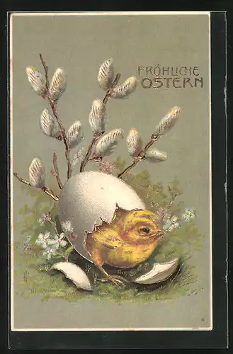 Präge-AK Osterküken schlüpft aus dem Ei, Kätzchenzweig, Ostergruss