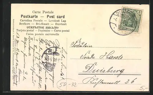 AK Maikäfer sitzen auf einem Birkenzweig