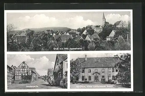 AK Markt Ippesheim, Teilansicht, Strassenpartie, Schulhaus früher Lichtensteiner Schloss