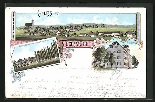 Lithographie Fuchsmühl, Ottobad Wiesau, Zollerisches Lehensgut, Panorama