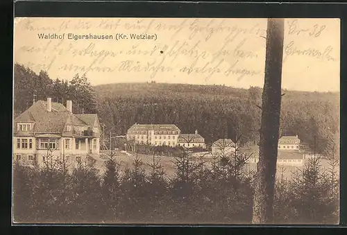 AK Elgershausen /Kr. Wetzlar, Hotel Waldhof