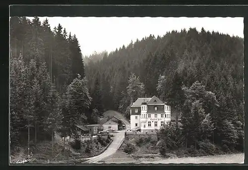 AK Schwarzenbach-Schübelhammer, Gasthaus u. Pension Fels