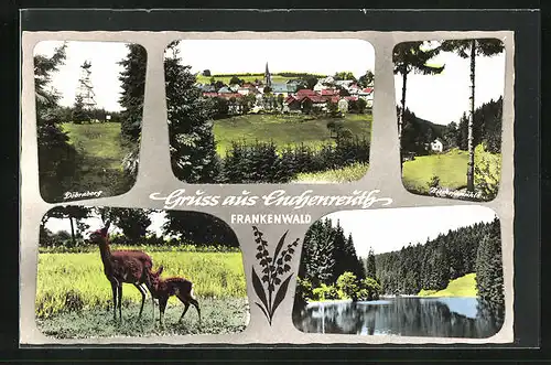 AK Enchenreuth /Frankenwald, Bisachofsmühle, Ortsansicht, Döbraberg, Seepartie