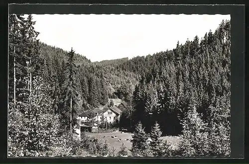 AK Bischofsmühle /Rodachtal, Häuser von Wald umgeben