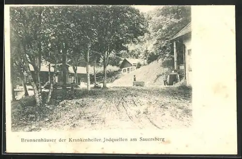 AK Wackersberg, Brunnenhäuser der Krankenheiler Jodquellen am Sauersberg