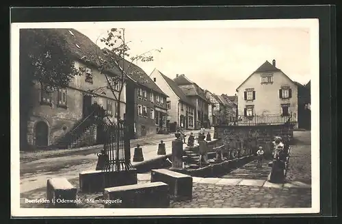 AK Beerfelden / Odenwald, an der Mümlingquelle