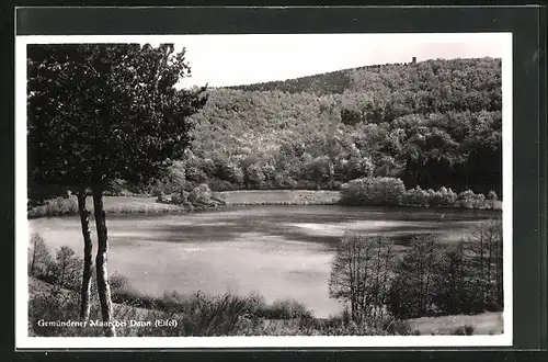 AK Daun / Eifel, am Gemündener Maar