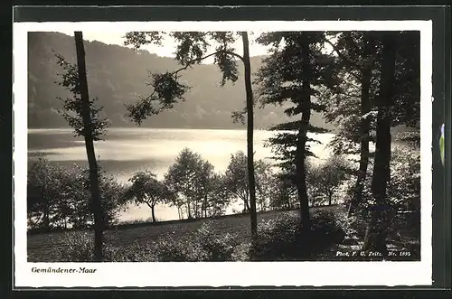 AK Daun / Eifel, Totale vom Gemündener Maar