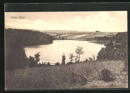 AK Gillenfeld, Holz-Maar