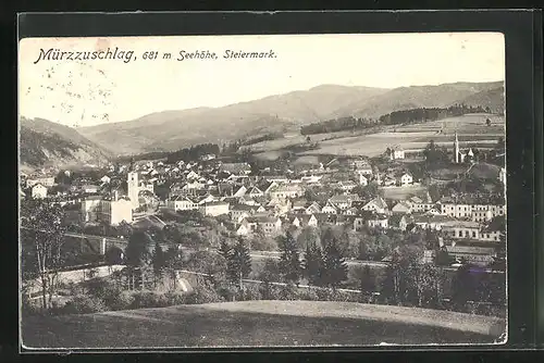 AK Mürzzuschlag, Panoramablick vom Berg