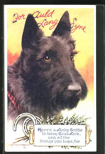 Künstler-AK Douglas Tempest: Schnauzer Lucky Scottie im Portrait