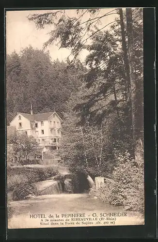 AK Ribeauville, Hotel de la Pepiniere