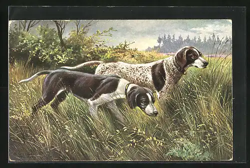Künstler-AK Alfred Schönian: zwei hübsche Jagdhunde im hohen Gras