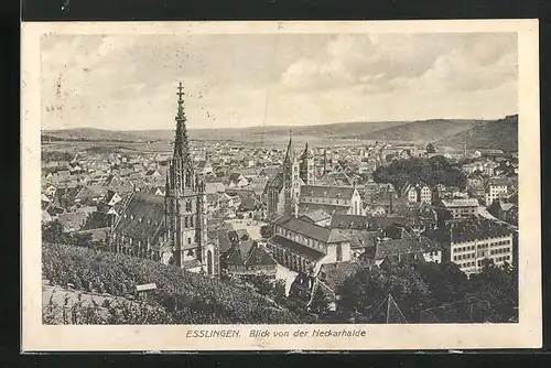 AK Esslingen a. N., Panoramablick von der Neckarhalde