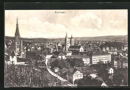AK Esslingen a. N., Gesamtansicht
