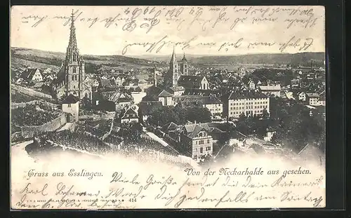 AK Esslingen a. N., Panoramablick von der Neckarhalde