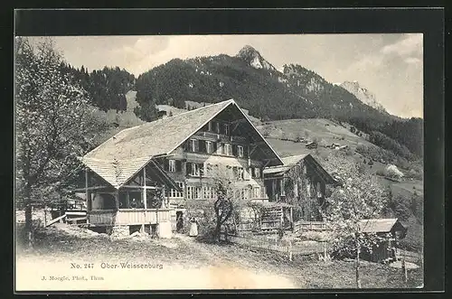 AK Ober-Weissenburg, Ortspartie, Gasthaus