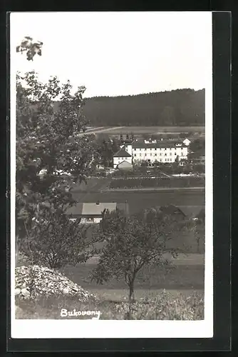 AK Bukovany, Panorama