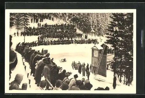 AK Oberhof, Schlittenfahrt auf der Bobbahn