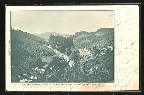 AK Sayda, Blick ins Flöhathal, Partie Sayda-Neuhausen-Dittersbach-Seiffen oder Olbernhaus