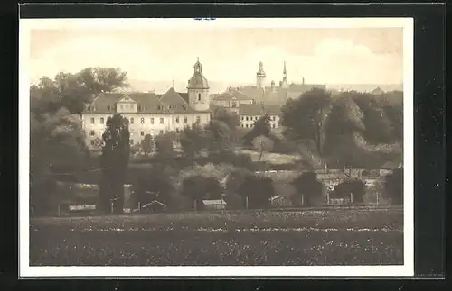 AK Eisenberg /S.-A., Schloss und Teilansicht von Süden