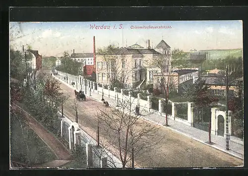 AK Werdau i. S., Crimmitschauerstrasse am Park