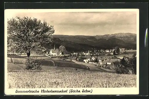 AK Hinterhermsdorf i. Sa., Panorama