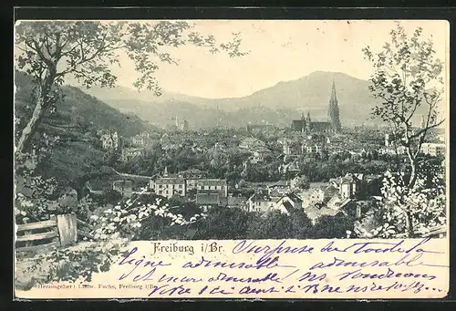 AK Freiburg i. Br., Totalansicht