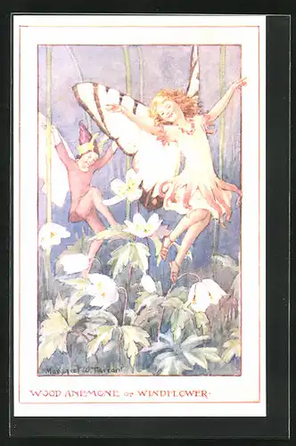 Künstler-AK Margaret W. Tarrant: Wood Anemone or Windflower