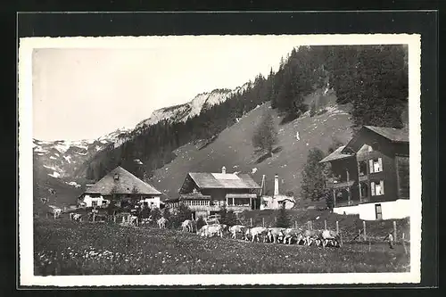 AK Lenk i. S., Ortspartie mit Ifigenalp