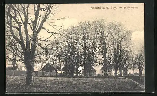 AK Asparn a. d. Zaya, Schlosswiese