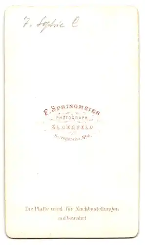 Fotografie F. Springmeier, Elberfeld, Herszogstrasse 4, hübsche junge Dame mit Brosche und Halskette