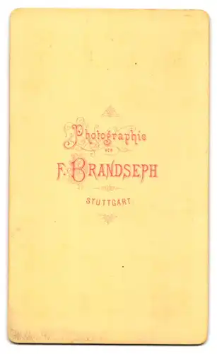 Fotografie F. Brandseph, Stuttgart, Portrait bürgerlicher Herr mit Vollbart