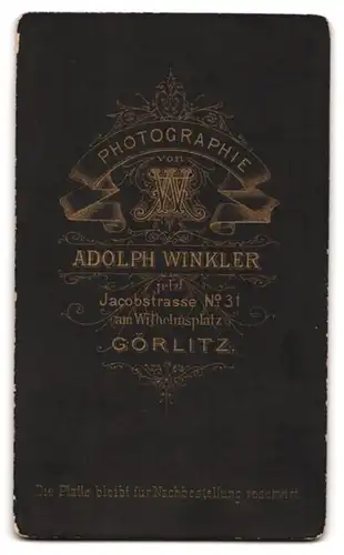 Fotografie Adolph Winkler, Görlitz, Jacobstrasse 31, Portrait kleiner Junge in hübscher Kleidung