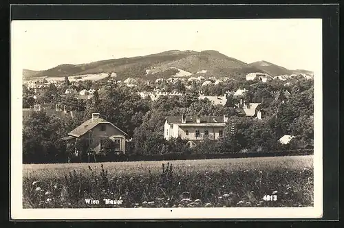 AK Wien-Mauer, Panorama mit Gebirge