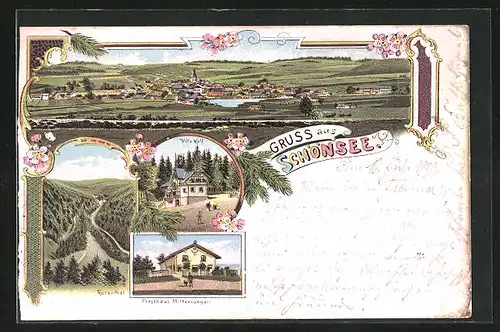 Lithographie Schönsee, Villa Wolf, Forsthaus Mitterlangau, Totalansicht