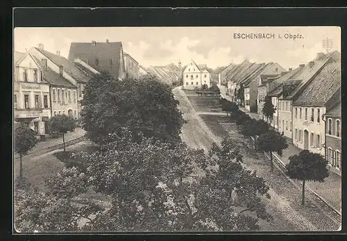 AK Eschenbach i. Obpfz., Strassenpartie mit Geschäften