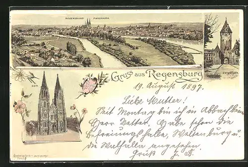 Lithographie Regensburg, Panorama, Dom, Ostentor
