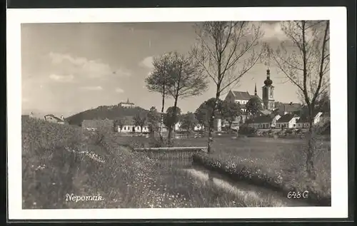 AK Nepomuk, Blick von einem Bach zum Ort