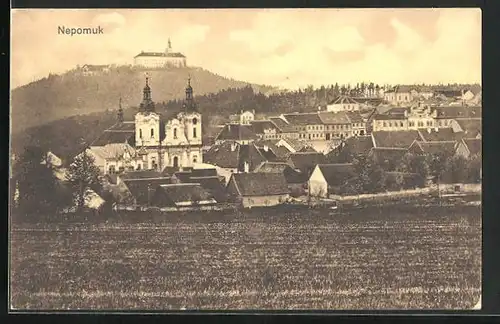 AK Nepomuk, Teilansicht mit Schloss und Kirche